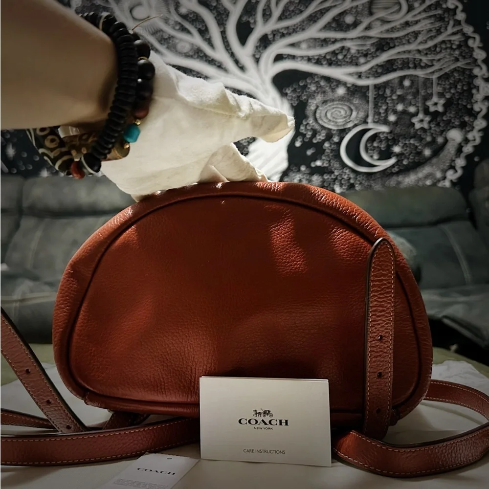 Coach Peanuts Snoopy Backpack Leather Backpack with Cartoon Patches - Picture 14 of 16